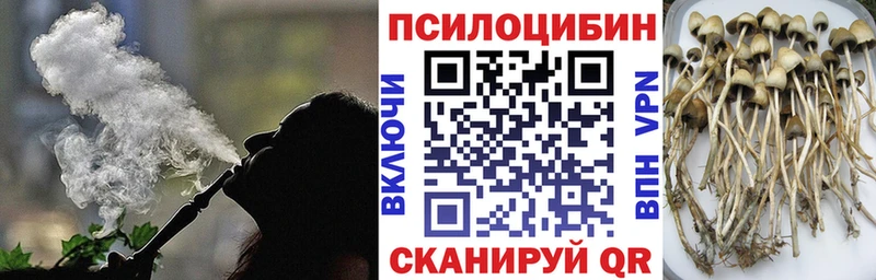 где купить наркоту  Валдай  Псилоцибиновые грибы мицелий 